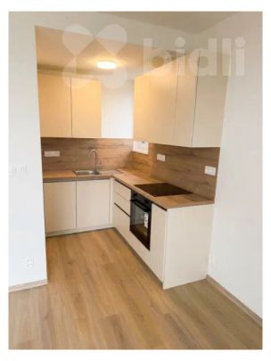 Pronájem 2+kk v novostavbě - Kladno - Photo 1