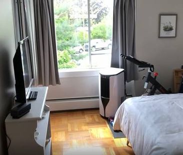 Renovated Large 1 Bedroom Suite near SkyTrain - Photo 3