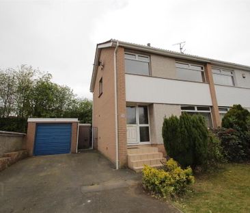 24 Knockview Drive, Tandragee, Craigavon, BT62 2BH - Photo 6
