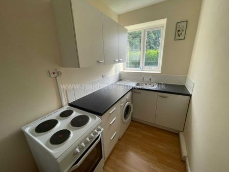 Gibbins Road, Selly Oak - Photo 3