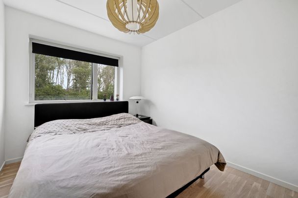 Skønt 5-værelses rækkehus i Hasserislund - Foto 1