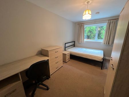 Yearsley Crescent, The Groves - P1104 - Photo 5