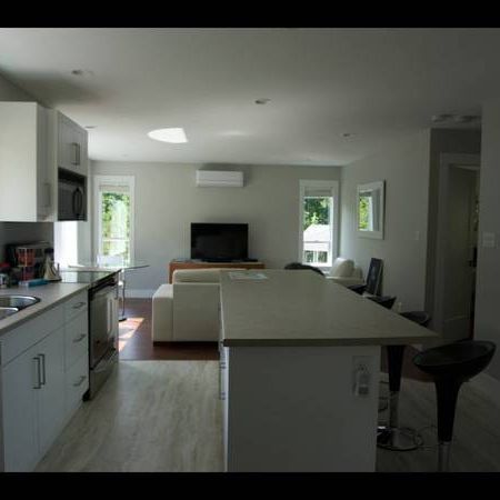 SHORT / LONG TERM EXECUTIVE RENTAL SUITE - Photo 3