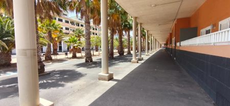 Güímar - Photo 3