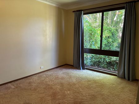 Short walk to Town - Photo 4