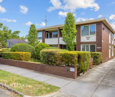 3/20 Victoria Street, Elsternwick VIC 3185 - Apartment For Rent | D... - Photo 2