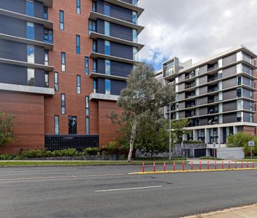 5/2 Veryard Lane, Belconnen ACT 2617 - Apartment For Rent | Domain - Photo 4