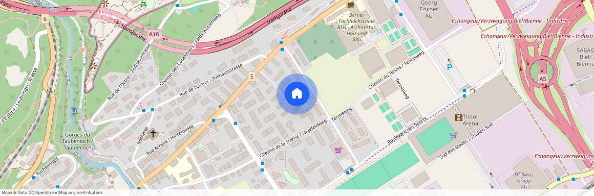 2504, Biel, Chemin Du Bergfeld / Bergfeldweg, 15