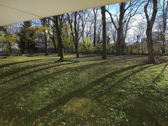 Appartement 1 pièce - 69009 Lyon 9e Arrondissement - Photo 1