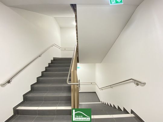 Moderne Neubauwohnung mit großem Balkon nahe U1 Kagraner Platz – im neuen Wohnviertel Am Langen Felde - Photo 1