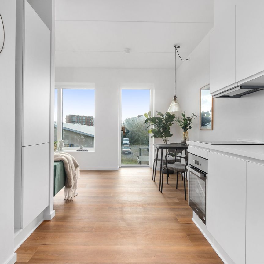 Boligen til den studerende, singlen eller det unge par - Foto 1