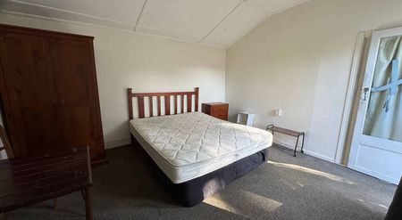 Large bedroom with kitchen in Mt Vic - Photo 2