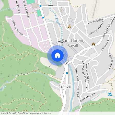 Sant Llorenç Savall