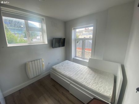 Lansdowne Terrace, Shelbourne Road, Sandymount, Dublin 4 - Photo 5