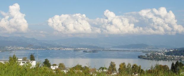 Modern 2.5-room apartment in a quiet panoramic location of Richterswil - Photo 1