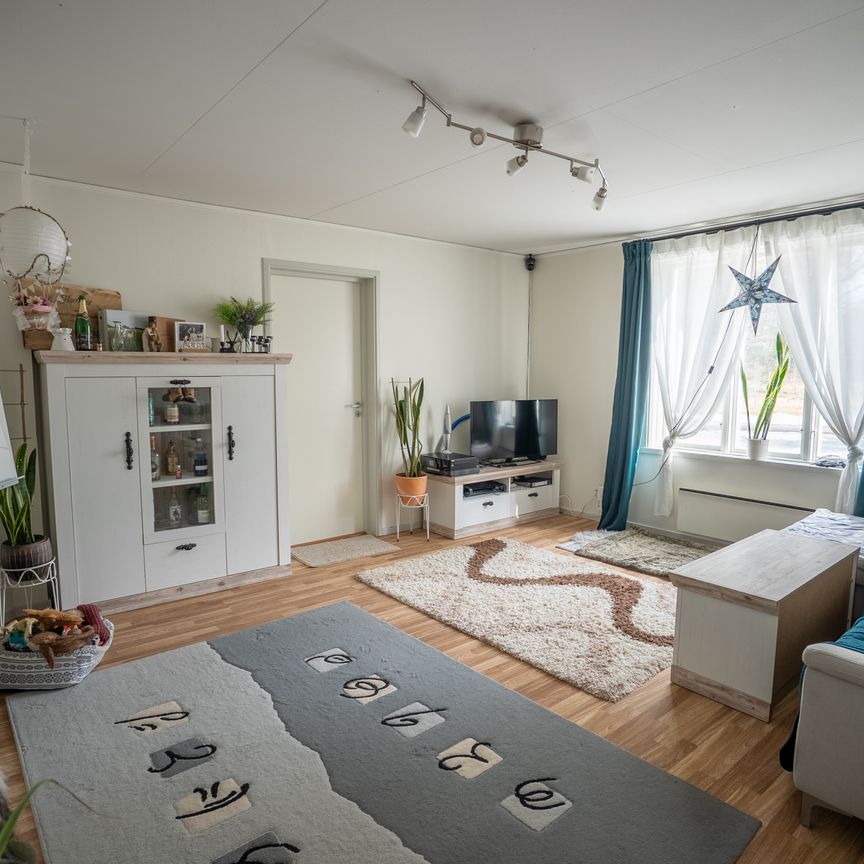 Marieberg, Bärtrå - Foto 1