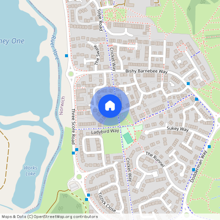 Caddow Road, Three Score, Norwich