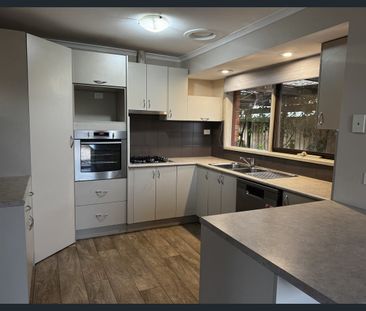 Four-Bedroom Home with Large Shed - Photo 5