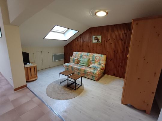 Location Appartement 2 pièces 43m² MILLAU 12100 - Photo 1