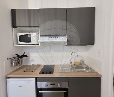 Location Appartement 1 pièce 17m² NANTES 44000 - Photo 3