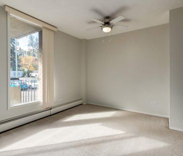 Renovated Suite - 1 Bedroom - Photo 5