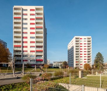 Appartement rénové de 3.5 pièces à Fribourg ! - Foto 2