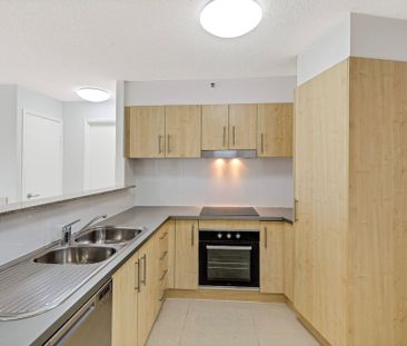 North Facing, Light Filled, Cotton Tree Gem - Photo 4