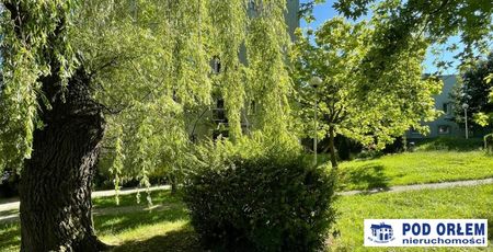 Bielsko-Biała, Górne Przedmieście, Mieszkanie na wynajem - Photo 5