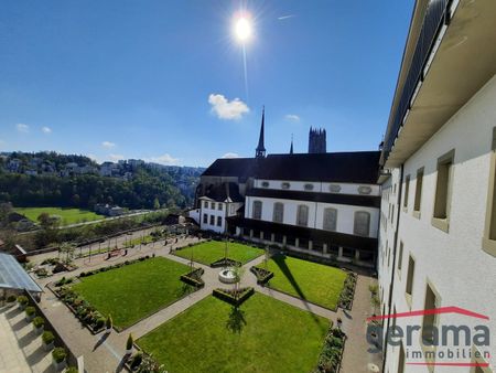 Charmant 2.5 pièces à Fribourg ! - Photo 3