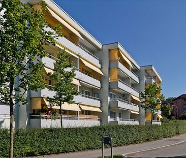 Schöne und gepflegte Liegenschaft in Dietikon - Photo 4