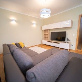 Newly built apartment is for rent - Photo 1