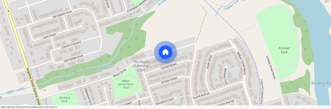 163 ALCORN Drive, Kawartha Lakes