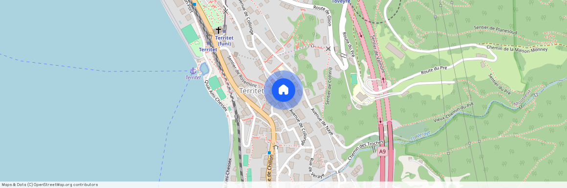 Avenue de Collonge 24, 1820 Montreux