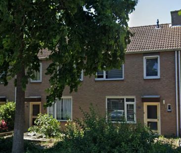 Maison mitoyenne Speenkruidstraat 20, Reuver - À louer - Foto 1