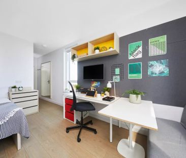 Premium Plus Studio - Photo 6