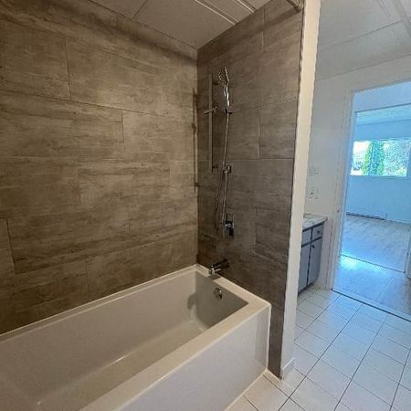 4-1/2 rénové Fleurimont situé à 2 pas du CHUS et Cegep - Photo 3