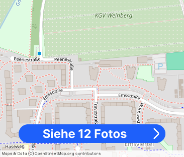 3-Zimmer-Wohnung mit Balkon in Braunschweig-Weststadt mieten - Foto 1