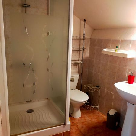 STUDIO MEUBLE - 29.59 m² - PARAY LE MONIAL - Photo 3