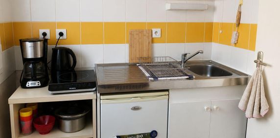 Location Appartement 1 pièce 28m² BEAUPREAU EN MAUGES 49600 - Photo 2