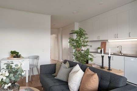 Segerstadsvägen, Växjö - Foto 3