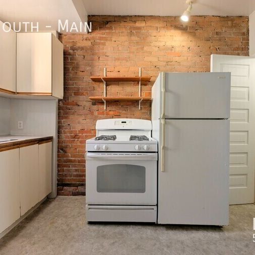 Spacious 1 Bedroom 1 Bathroom Main Floor Unit in the Heart of Walkerville - Photo 1