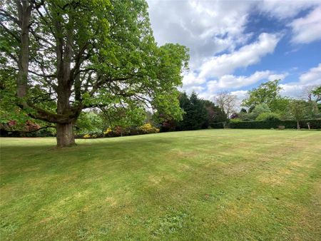 3 bedroom apartment to rent - Photo 4