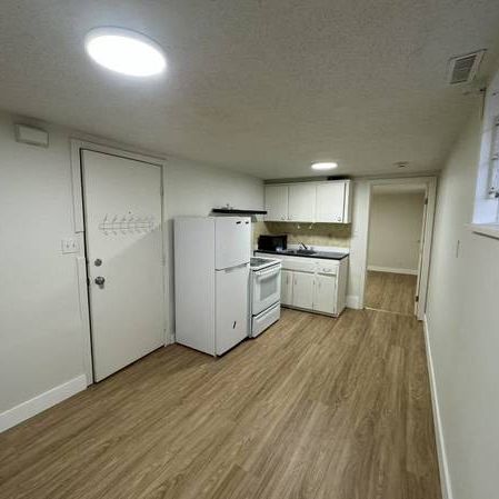 Newly Renovated Downtown 1-bedroom Suit - Photo 3