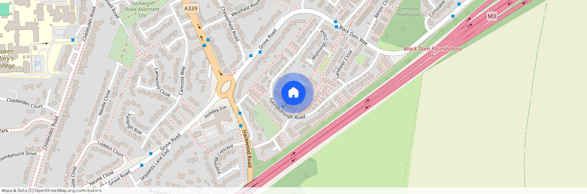 Rubens Close, Basingstoke, Hampshire, RG21