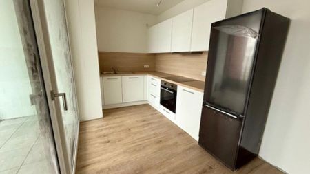 Neubau: Süd-Loggia: 2,5-Zimmer, Dielenboden, Einbauküche, großer HWR, Garage, Aufzug - Photo 4