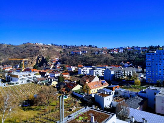 PUNKTHAUS: Top-Mietwohnung mit Ausblick - Foto 1