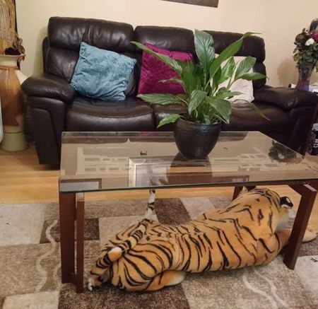 The Boulevard Cruise Park, Dublin - Photo 2