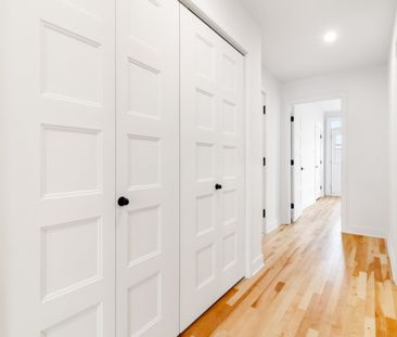 4727 Av. Papineau, H2H 1V4, H2H 1V4, Montréal - Photo 2