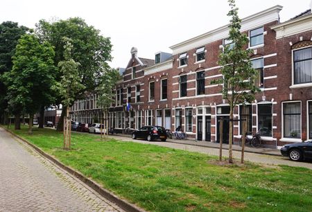 Warande - Photo 2