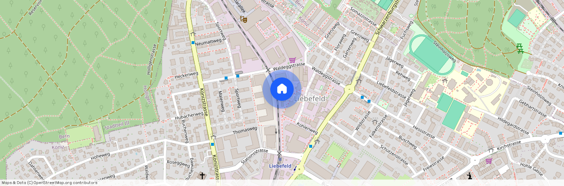 3097, Liebefeld, Waldeggstrasse, 47